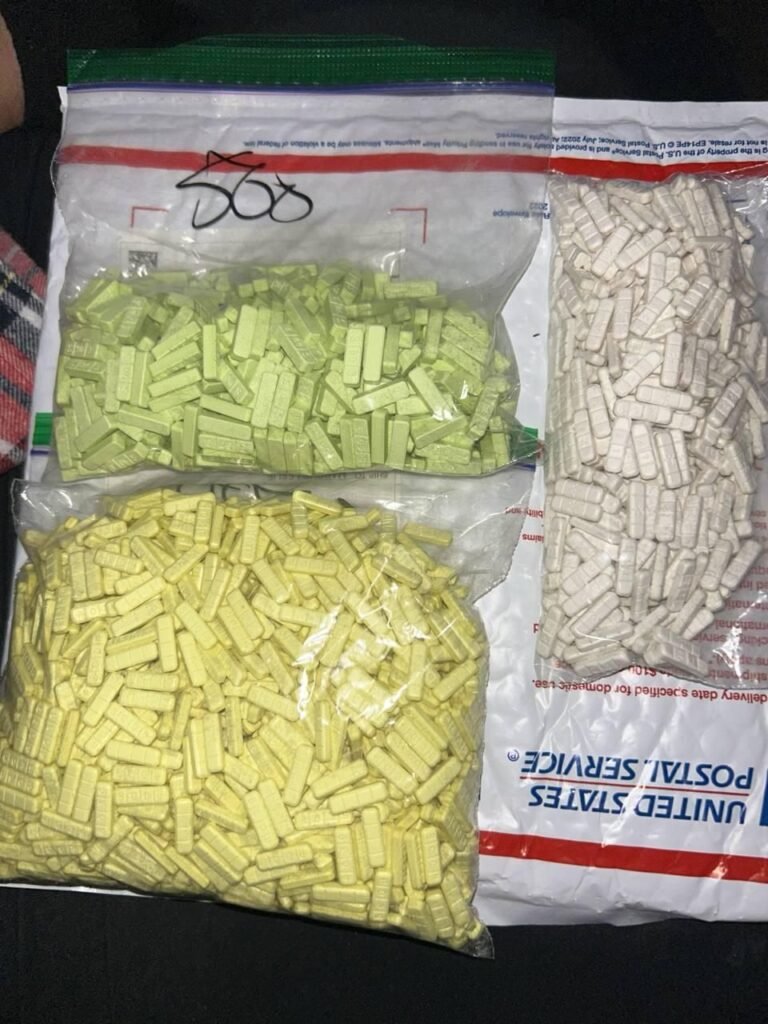 ZAZALAND Terms & Conditions