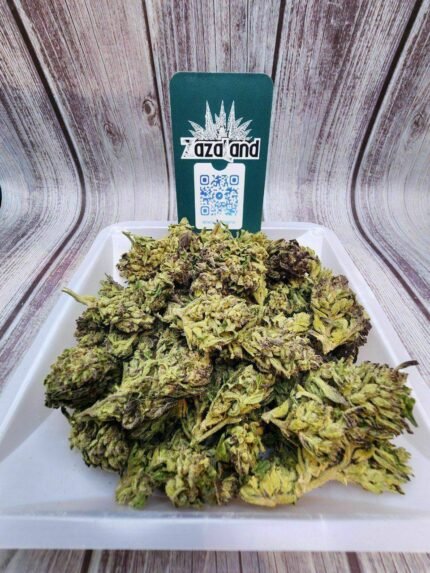 Guava Gelato