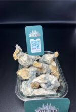 Mushrooms – ZAZALAND COUNTER 🚬 Mushrooms