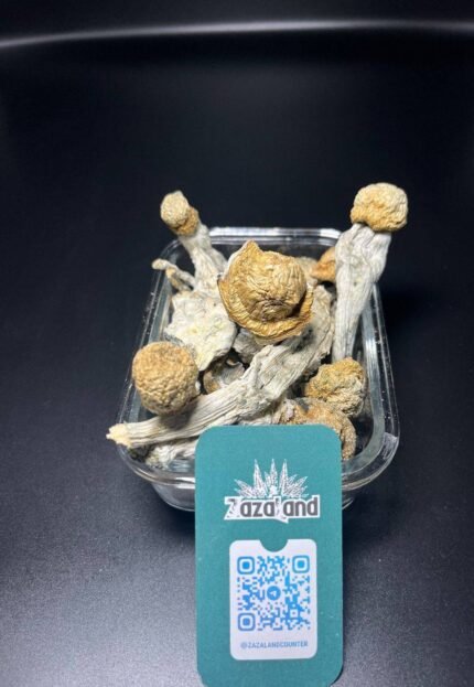 Mushrooms