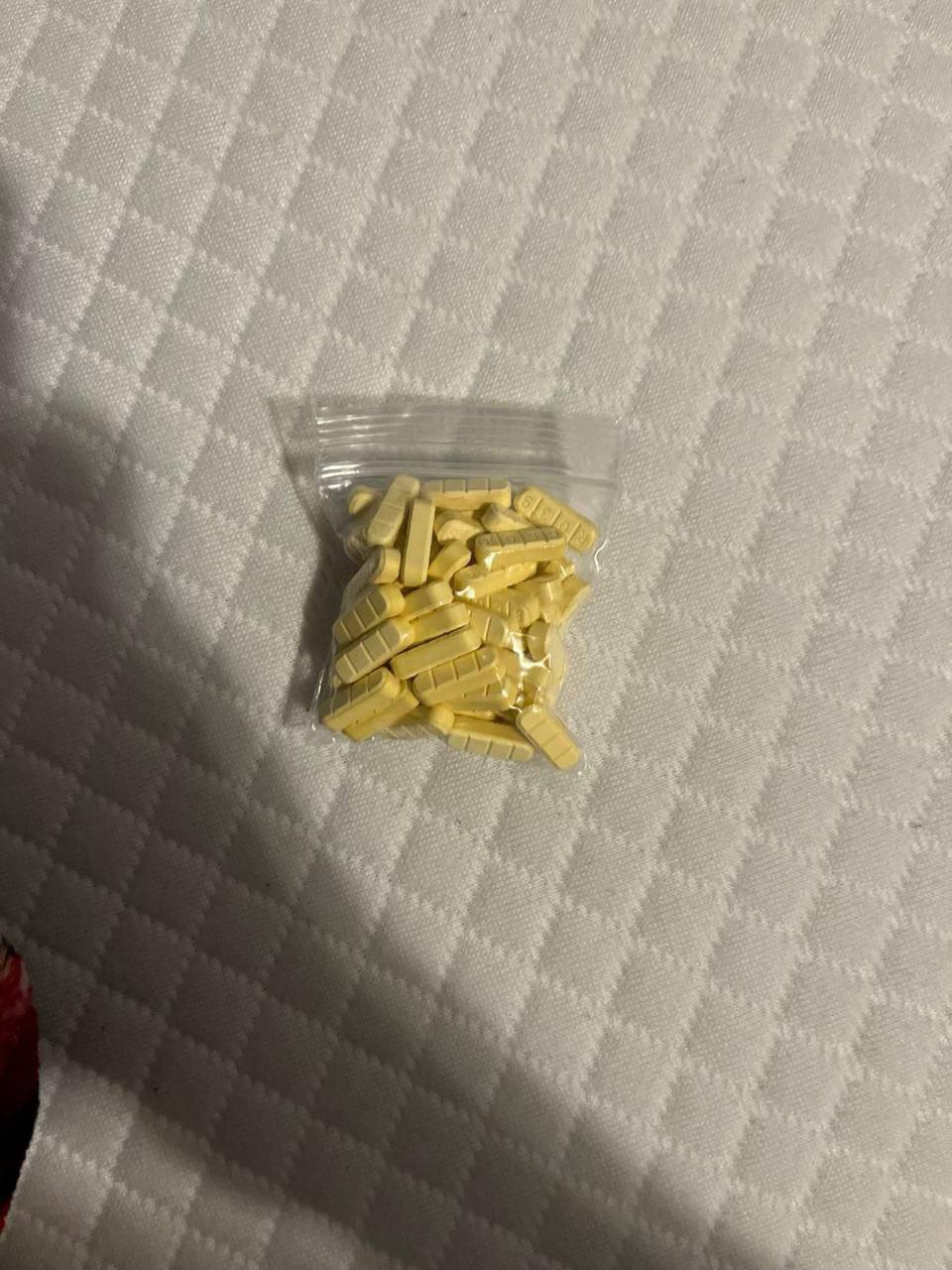 ZAZALAND Terms & Conditions