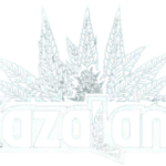 ZAZALAND COUNTER